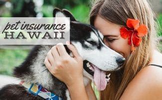 Hawaii pet insurance